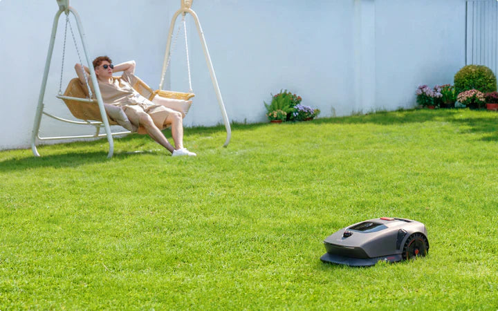 Falling Leaves, Final Cuts: The Secret to a Greener Spring Lawn