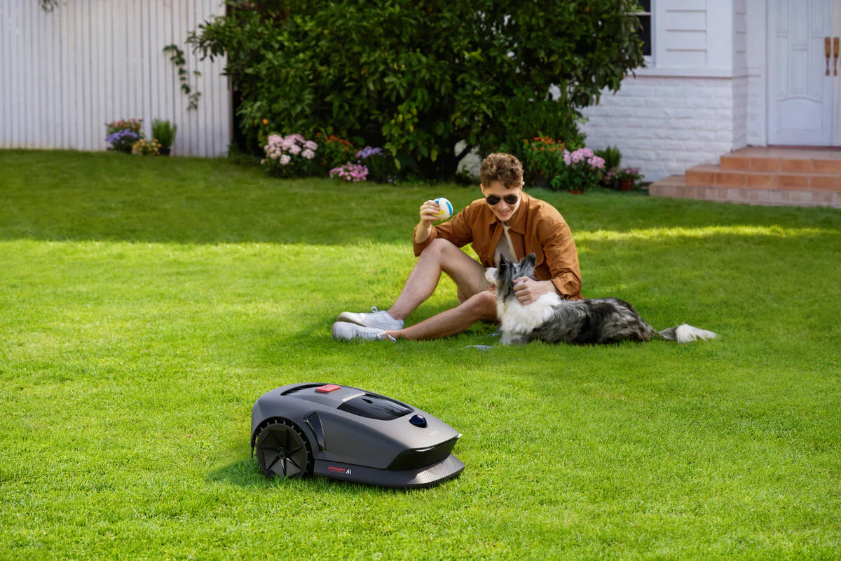 How Often Should You Really Mow Your Lawn? The Robotic Mower Approach