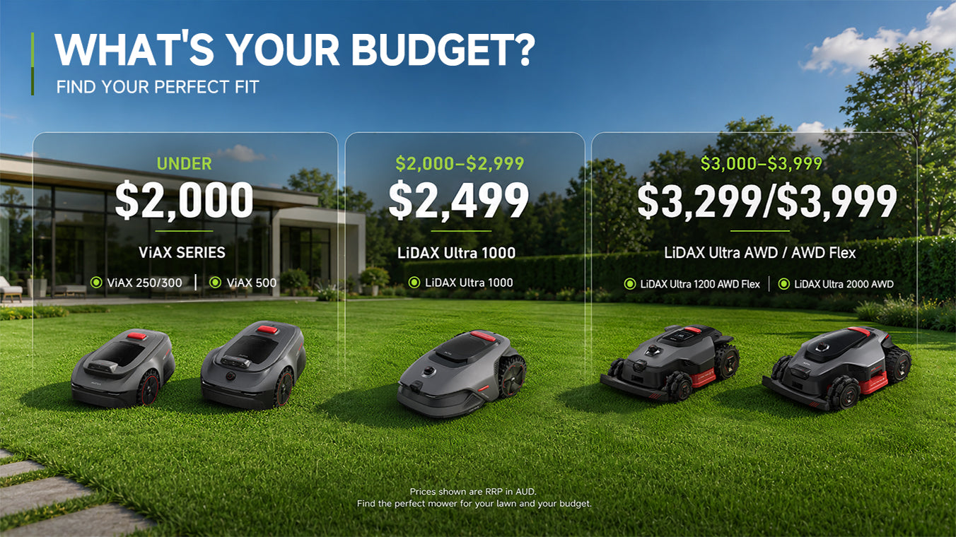 What's Your Budget?